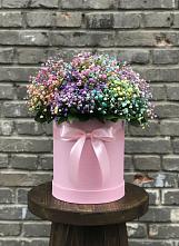 Цветочная композиция из Гипсофила и Розы в шляпной коробке #REPLACE_PRED# Улан-Удэ