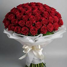 Букет 101 Красная роза Блэк Мэджик в Улан-Удэ