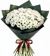 Букет цветов из:  Хризантемы в Улан-Удэ